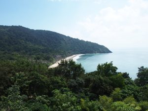 Bamboo Beach