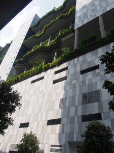 "Green" building