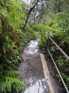 Walk to Leura Falls