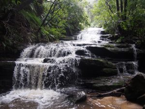 Leura Falls