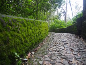 on the way to the waterfall...