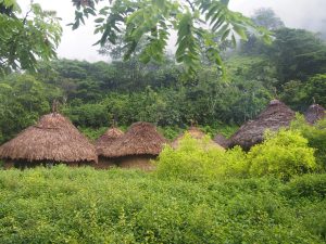 Kogi village