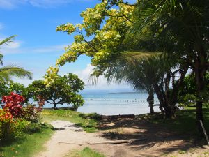 On the way to starfish beach