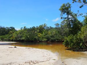 Small river crossing is included