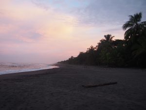 After sunset we had to leave the beach, it is closed to leave the turtles "alone" (or with the guided tours)